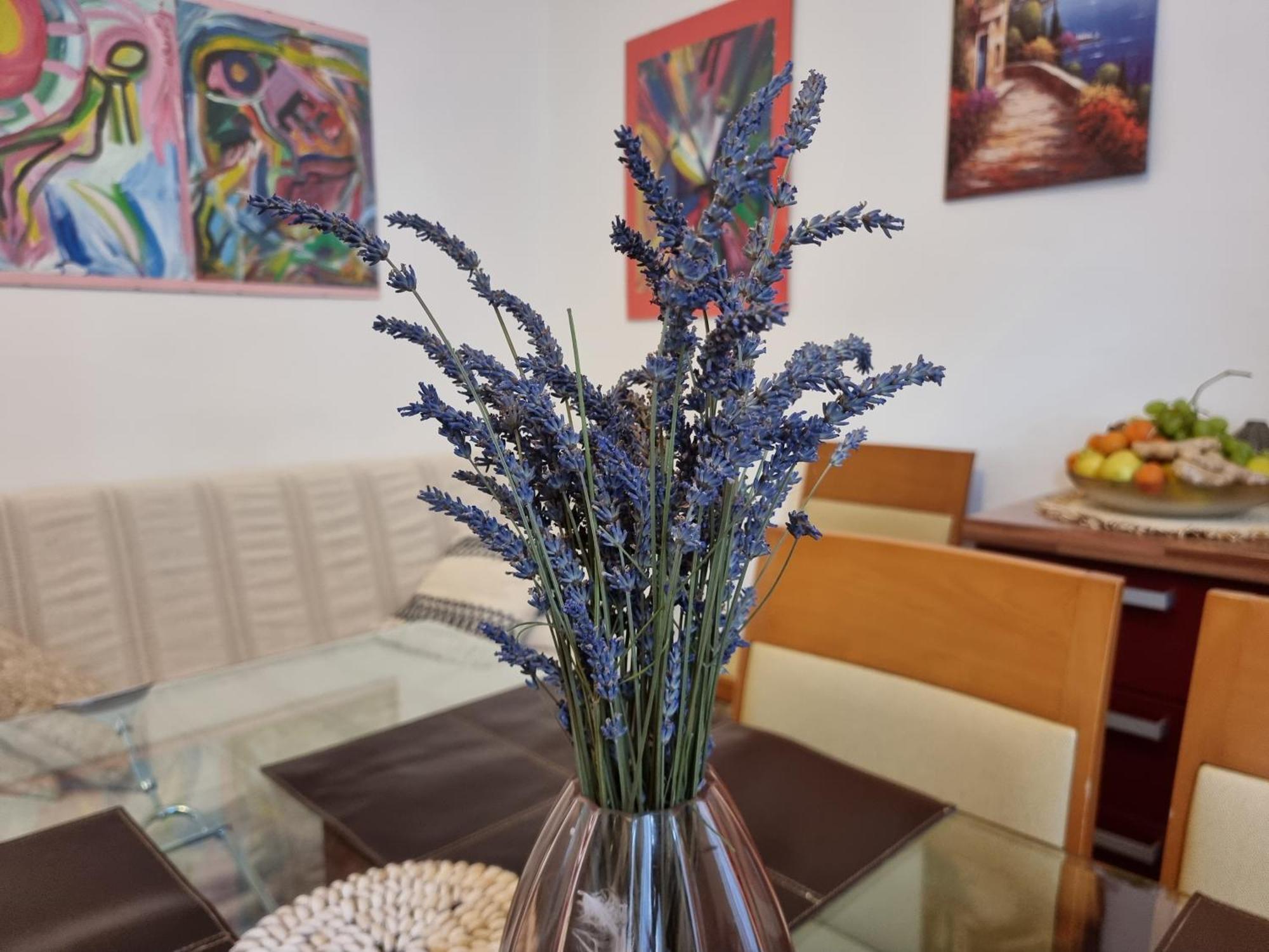 ***Apartment Magic &Summervibes*** Rijeka Eksteriør bilde