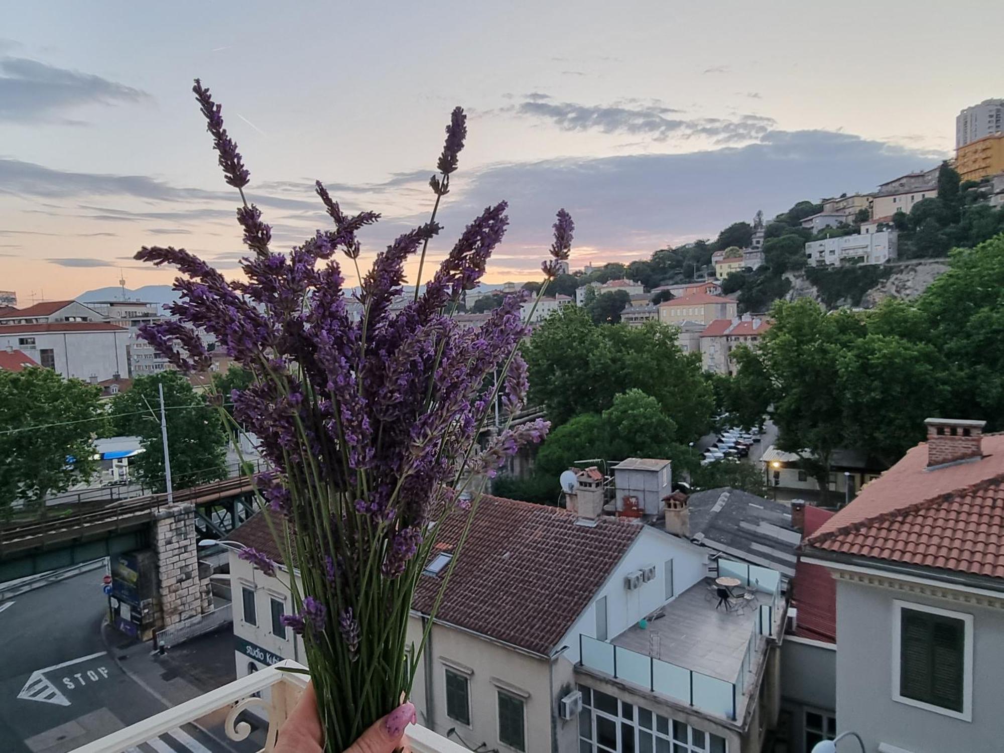 ***Apartment Magic &Summervibes*** Rijeka Eksteriør bilde