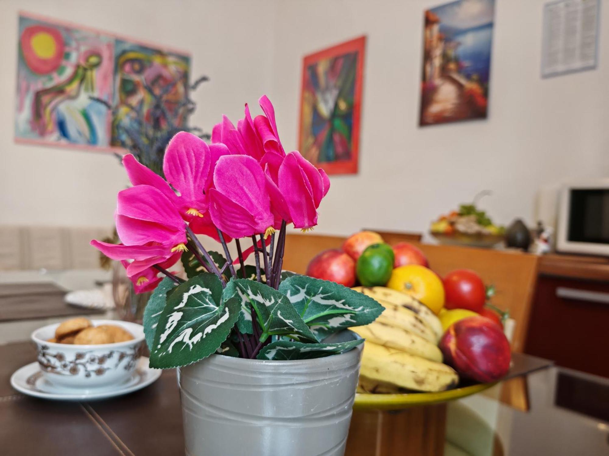 ***Apartment Magic &Summervibes*** Rijeka Eksteriør bilde